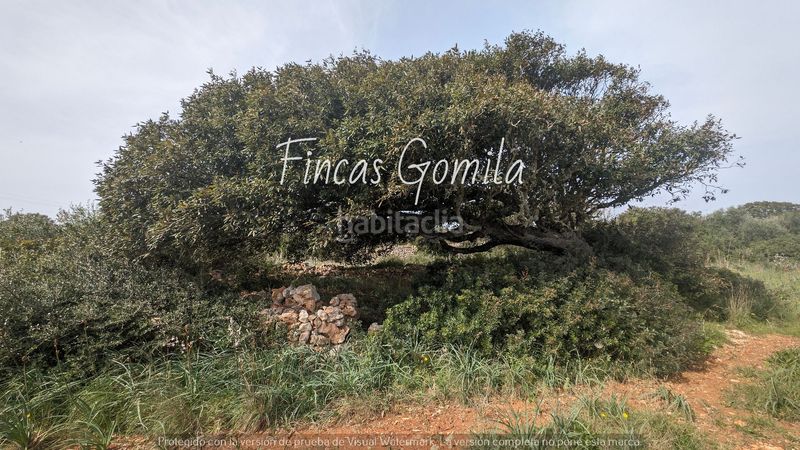 Foto bcaf22da-740f-410b-9c71-91e89f94bd5a. Finca rústica a Sant Lluís-s´ullestrar-torret Sant Lluís