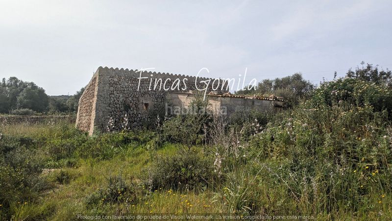 Foto f81170c9-8adf-4889-9b38-7c9a7187381e. Finca rústica a Sant Lluís-s´ullestrar-torret Sant Lluís