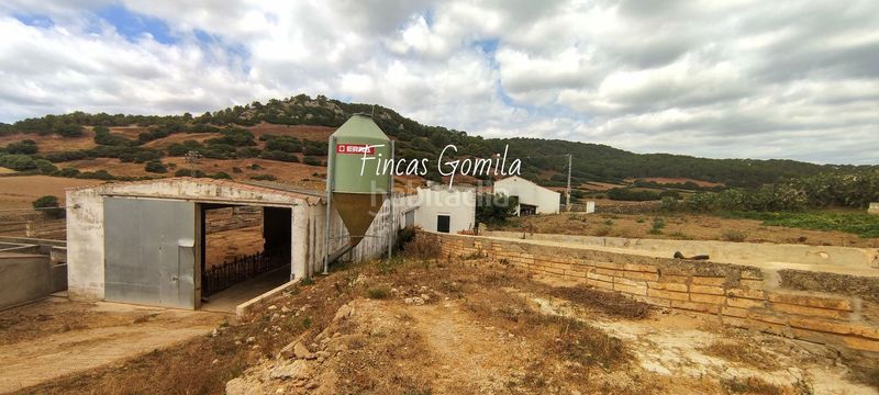Foto 1eeec47c-df2c-4bef-9803-7e932dbbc636. Finca rústica a Cala Morell Ciutadella de Menorca