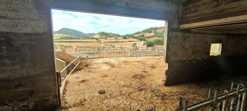 Foto 37ad235c-2695-4f26-a363-407a47cab634. Finca rústica a Cala Morell Ciutadella de Menorca