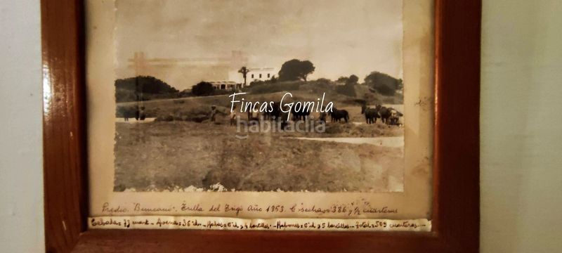 Foto 74718ee7-fb1a-496d-be3f-a689a84142db. Finca rústica a Cala Morell Ciutadella de Menorca