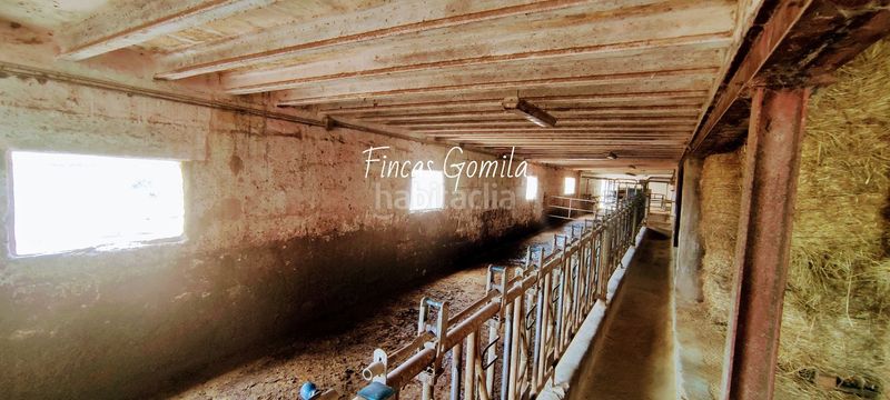 Foto 96153838-1b14-471e-9bf9-8f386105997d. Finca rústica a Cala Morell Ciutadella de Menorca