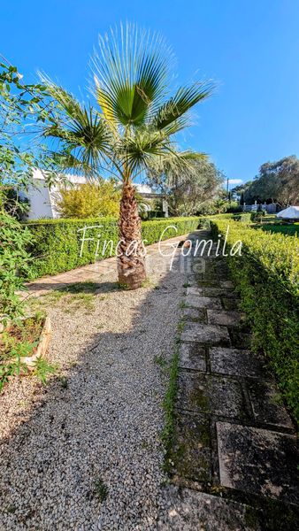 Foto f294f23c-fc6f-4aab-ae78-611cd91c3772. Masia a Biniancolla-Punta Prima Sant Lluís