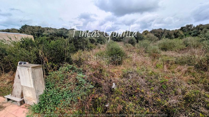 Foto 850111cf-8b81-4306-bec9-ce7c715ebbf0. Terreny residencial a Alaior poble Alaior