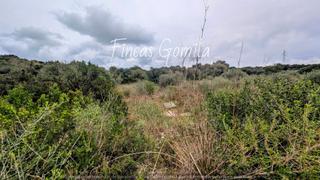 Terreny residencial  De llumena. Parcela en el poligono de alaior