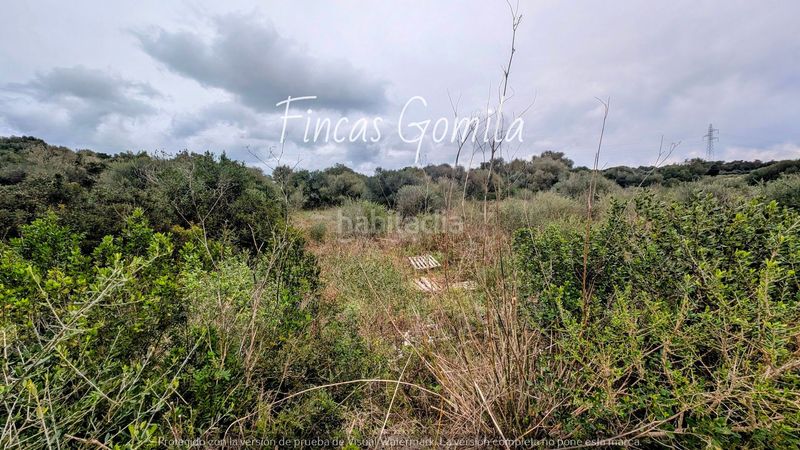 Foto e022a478-8289-43a8-a4a0-510e9412edd5. Terreny residencial a Alaior poble Alaior