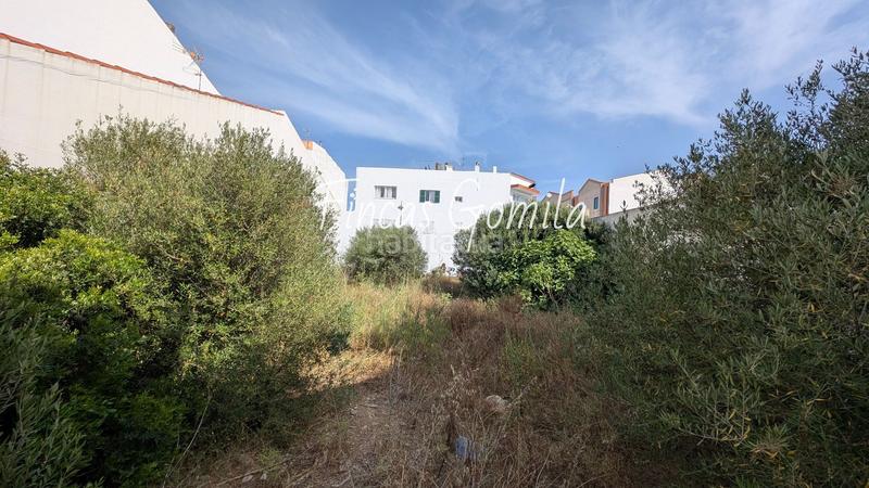 Foto 17b03a05-d4a6-4b58-8cdb-57896f1d70db. Terreny residencial a Alaior poble Alaior