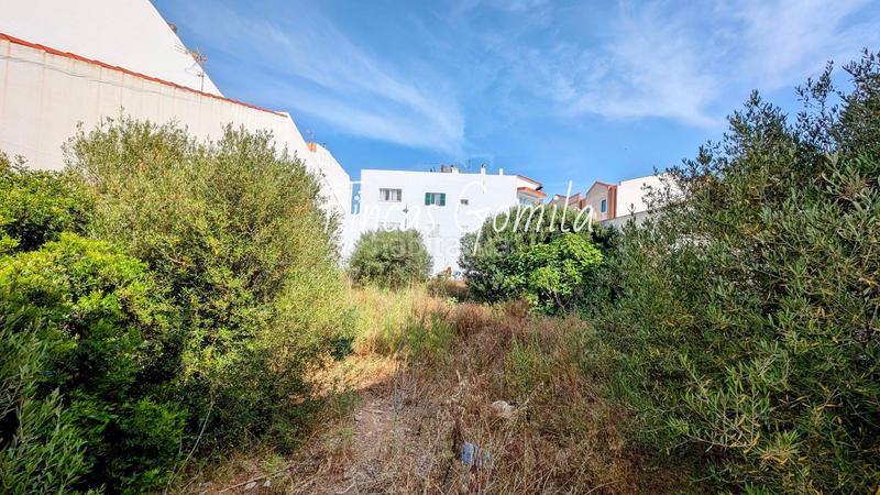 Foto 2bc1c0b4-c9e7-4791-8c40-c4bd222f1bdc. Terreny residencial a Alaior poble Alaior