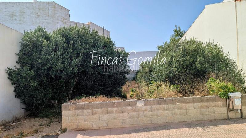 Foto 51897a00-4771-4255-b1cf-b901d42a989c. Terreny residencial a Alaior poble Alaior