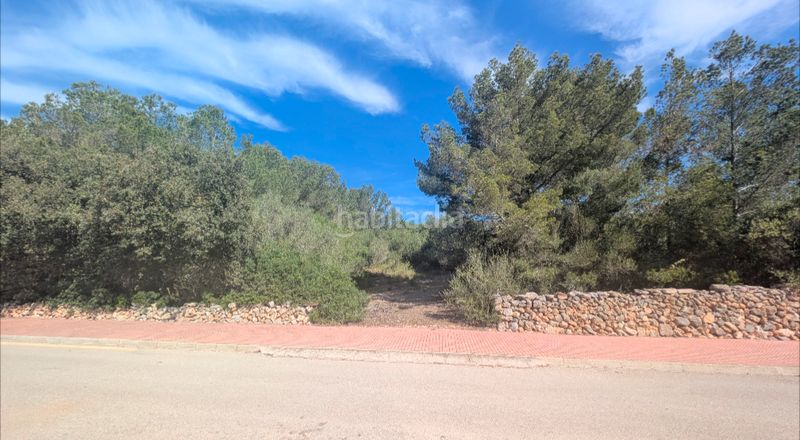 Foto 551c9694-5727-4df8-ba6f-4447698ceb65. Terreny residencial a Cala Galdana Ferreries