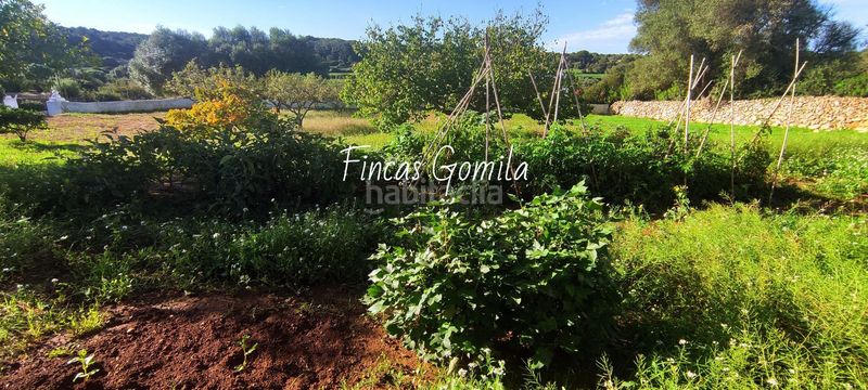 Foto 84ab98fd-3183-4fb5-826e-840dd6ba9a22. Masia a Es Mercadal poble Es Mercadal