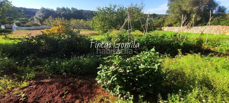 Foto d5c03429-9ba0-4691-b939-6b20f329b928. Masia a Es Mercadal poble Es Mercadal