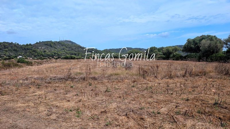 Foto 6f7ebeb0-3022-4990-b66f-6fb800054d61. Finca rústica a Alaior poble Alaior