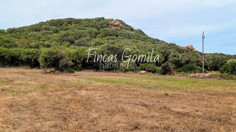 Foto c4189a43-8444-4077-a39c-68bd8e33b226. Finca rústica a Alaior poble Alaior