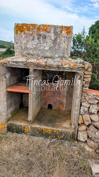 Foto eaf5e135-ce5c-4107-b23d-28ff00a5c9f8. Finca rústica a Alaior poble Alaior