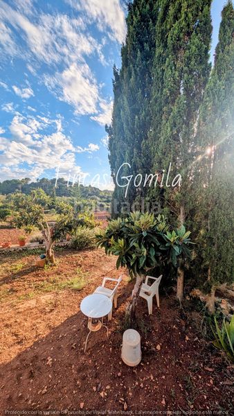 Foto 16c8a502-2854-4a7f-aaee-099b65604a50. Finca rústica a Alaior poble Alaior