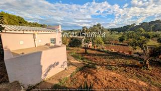 Finca rústica  Nova. Huerto en alaior