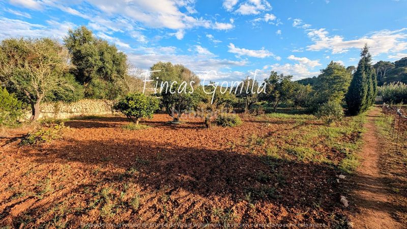 Foto ad871c0c-67ce-4e86-9091-66fc4d29019a. Finca rústica a Alaior poble Alaior