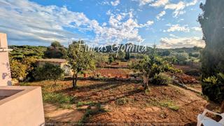 Finca rústica  Nova. Huerto en alaior