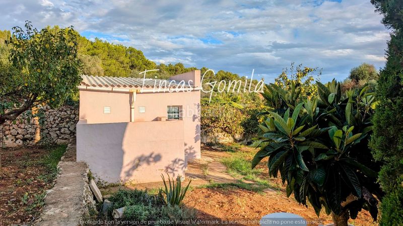 Foto fcaa03ff-6512-404d-ba73-3caee2f4b191. Finca rústica a Alaior poble Alaior