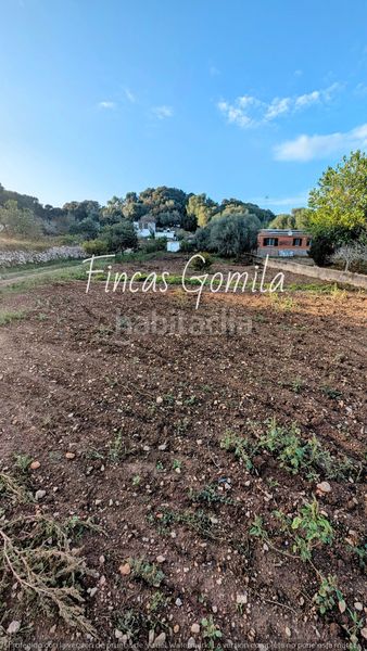 Foto 42ba9565-8363-4bab-9de5-5c2b76e42b7c. Finca rústica a Alaior poble Alaior