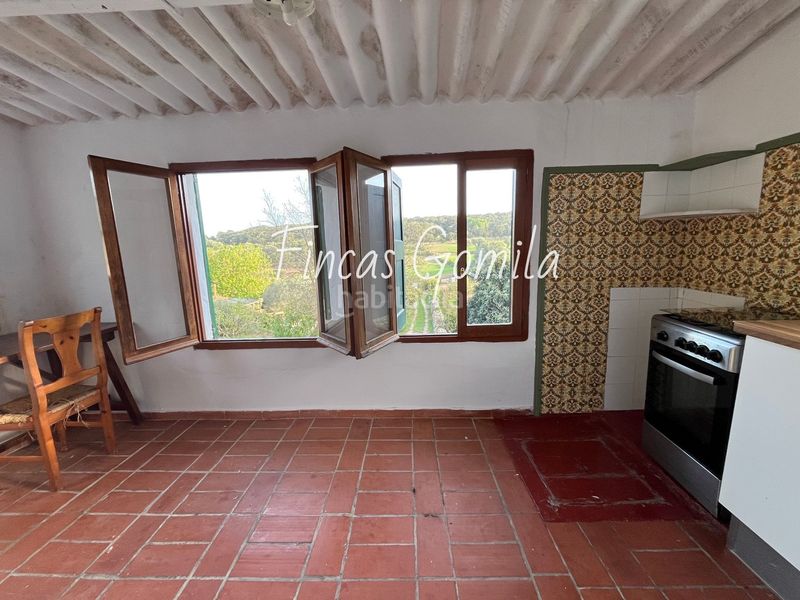 Foto ded93824-e007-4754-9e32-6c1d2b83543b. Finca rústica a Alaior poble Alaior