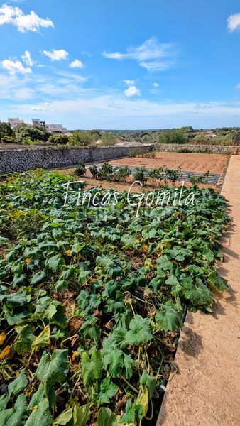 Foto 326688e9-4a70-4593-ab9d-624ecc9a1ba4. Masia amb calefacció aparcament piscina a Alaior poble Alaior