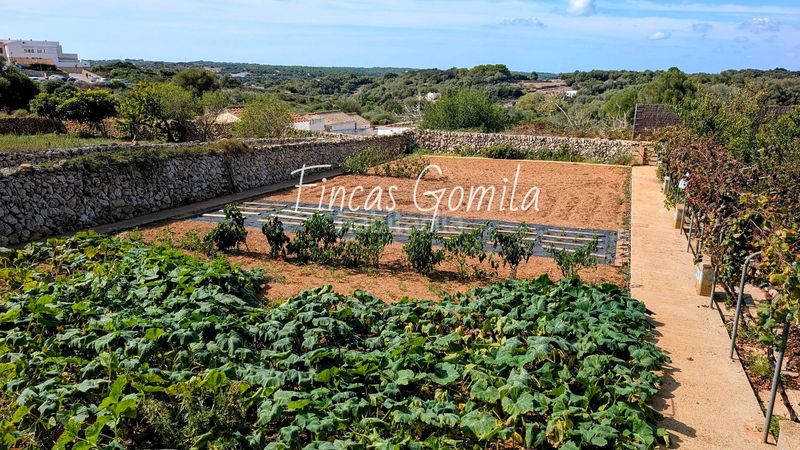 Foto df20b96e-c9b8-422e-ab25-e0a155f39db6. Masia amb calefacció aparcament piscina a Alaior poble Alaior