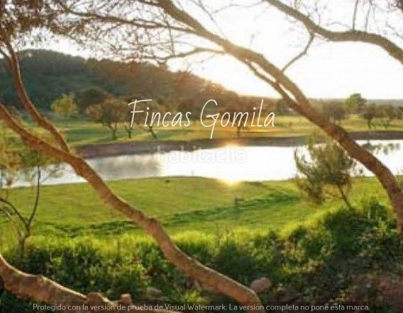 Foto a0cc7509-5fa2-41c2-a756-44f9caf54c0b. Terreny residencial a Son Parc Es Mercadal