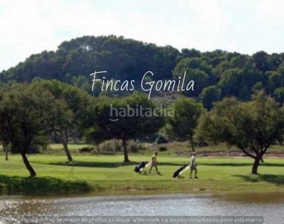 Foto bcff3318-bea9-4ab3-bf70-6bc265b91ba9. Terreny residencial a Son Parc Es Mercadal