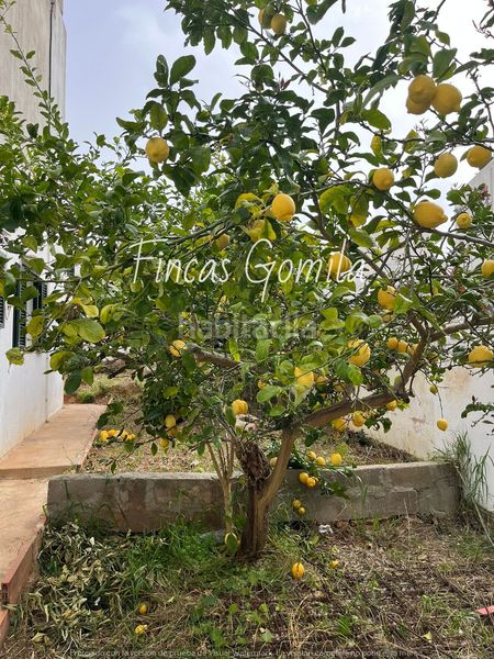 Foto a060dbfb-d833-4fc7-84cf-c73fffca2318. Apartament amb calefacció a Cala en Porter Alaior
