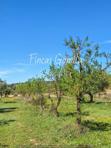Foto 05211ae4-f50b-4b70-a67f-62d6ca9c9110. Finca rústica a Cervià de les Garrigues