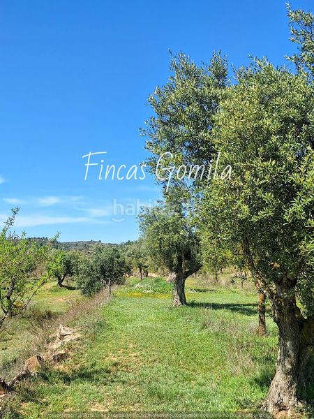 Foto 270f9bd4-c41c-4cdd-8e21-e3cc00b55379. Finca rústica a Cervià de les Garrigues