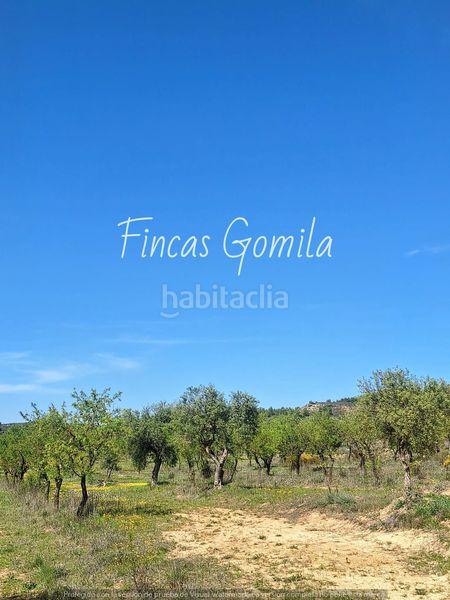 Foto 304ccb54-0f0b-4aaf-bc76-d5ccb7a38359. Finca rústica a Cervià de les Garrigues