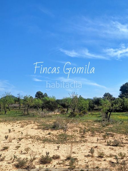 Foto 4555d432-b3f7-458a-a12c-03651c1a7a35. Finca rústica a Cervià de les Garrigues