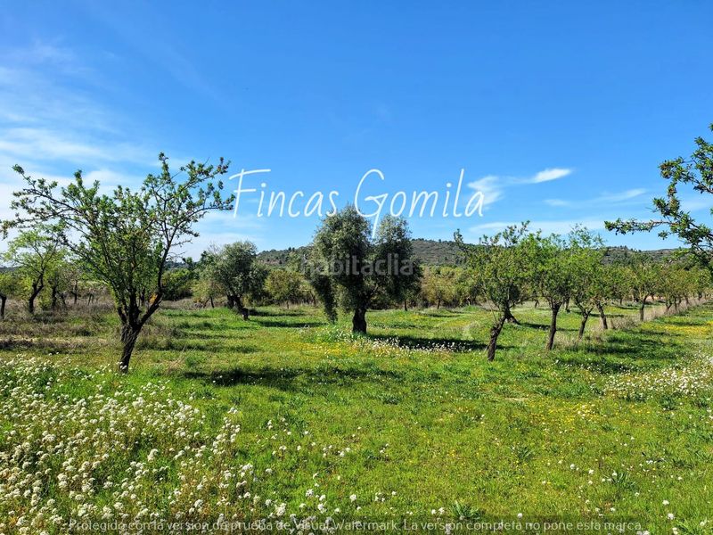 Foto 51c471c8-d76a-4e1d-b278-dd2876b13ac5. Finca rústica a Cervià de les Garrigues