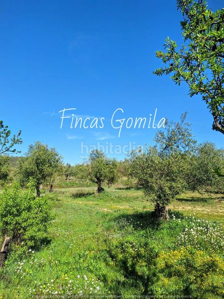 Foto 88aea484-2df5-45f9-bc7c-869e66aadc68. Finca rústica a Cervià de les Garrigues
