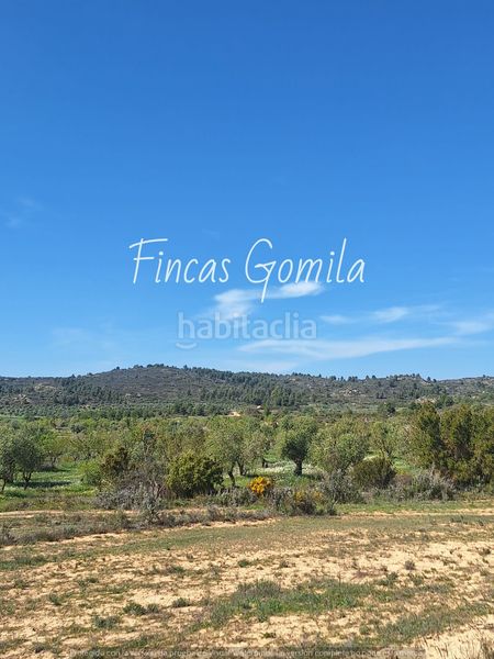 Foto 959f336c-0918-44a8-9802-904e5da17e58. Finca rústica a Cervià de les Garrigues