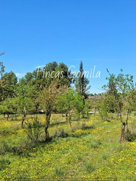 Foto a6382c1b-2d2c-4529-9341-82920000f71c. Finca rústica a Cervià de les Garrigues