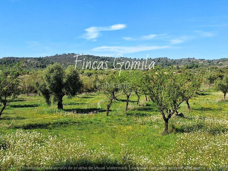 Foto e49cfb56-c8ef-47c3-abaf-7aaf750df060. Finca rústica a Cervià de les Garrigues