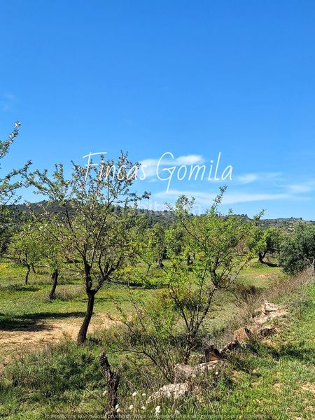 Foto fb28d973-47d8-4734-9d59-ec9c14f26e9d. Finca rústica a Cervià de les Garrigues