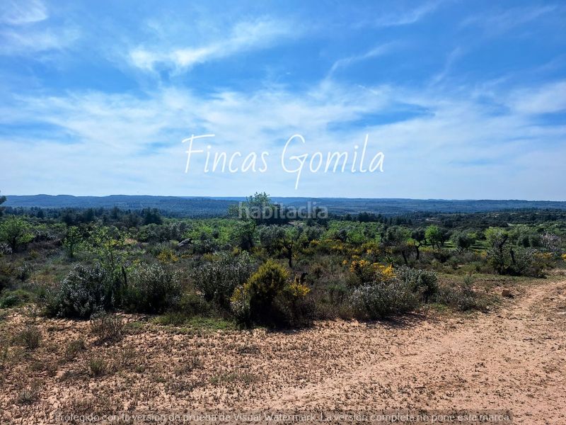 Foto fb512769-c462-4f5f-b808-9dd608a32b30. Finca rústica a Cervià de les Garrigues