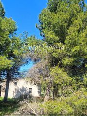 Landgut  8. Finca rustica en cervia de les garrigues