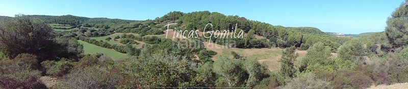 Foto 01bc601b-e38e-4cdf-949d-9597a0d5855c. Casa a Alaior poble Alaior