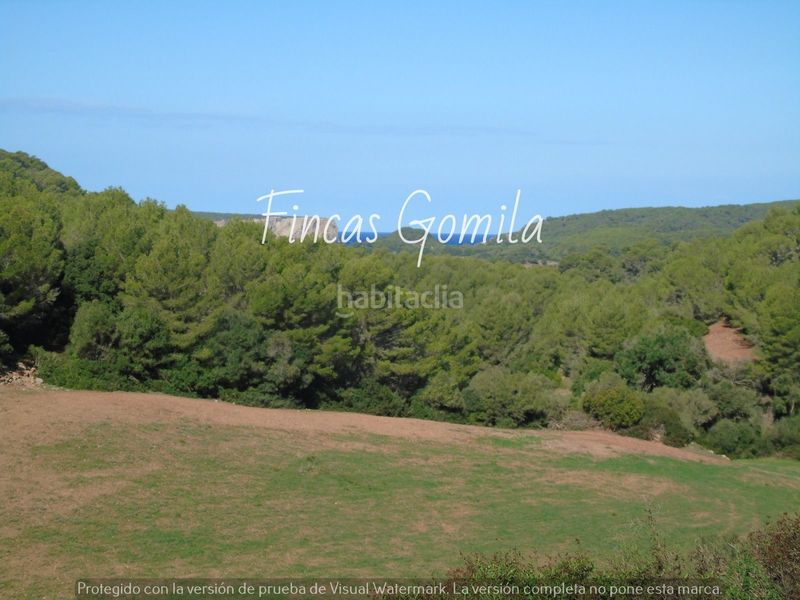 Foto 3033e149-88c2-47bc-8cd4-8fd6ac174d03. Casa a Alaior poble Alaior