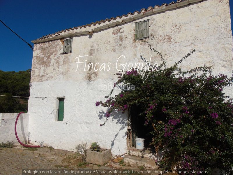 Foto 3ebd56a5-e9d2-4285-a1d8-7d61b39c43f3. Casa a Alaior poble Alaior