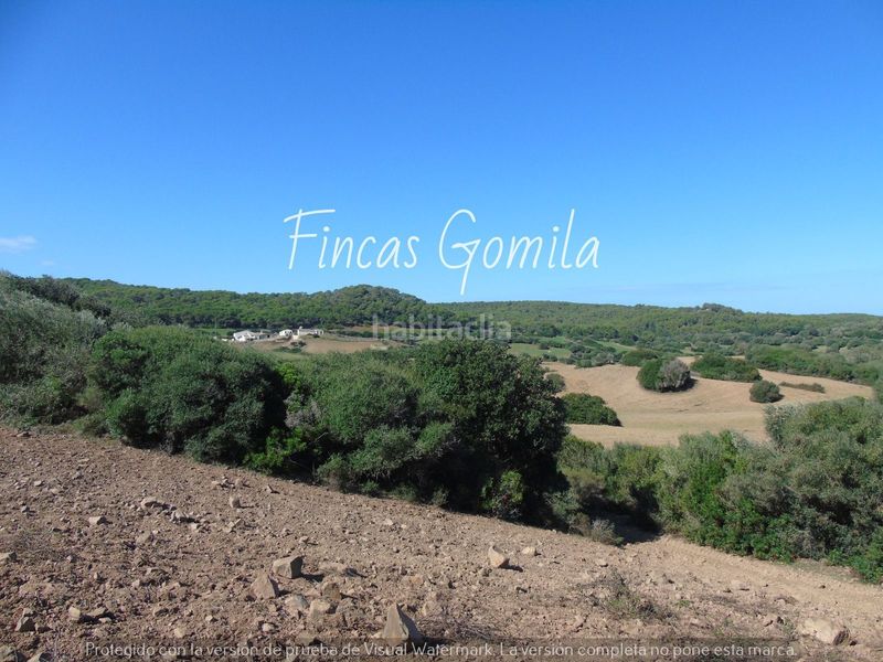 Foto 43bd71e2-521b-4873-b77f-c916678718be. Casa a Alaior poble Alaior