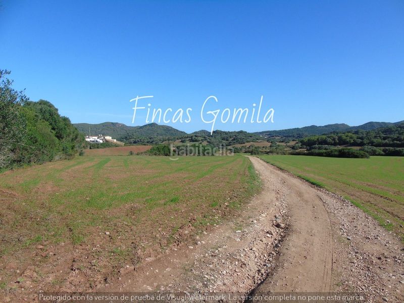 Foto 4a84475f-a051-483c-883a-95c290c50048. Casa a Alaior poble Alaior