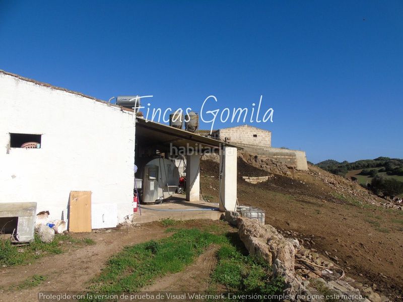 Foto 53d1acb3-1f7b-4622-aae1-eabff3498753. Casa a Alaior poble Alaior