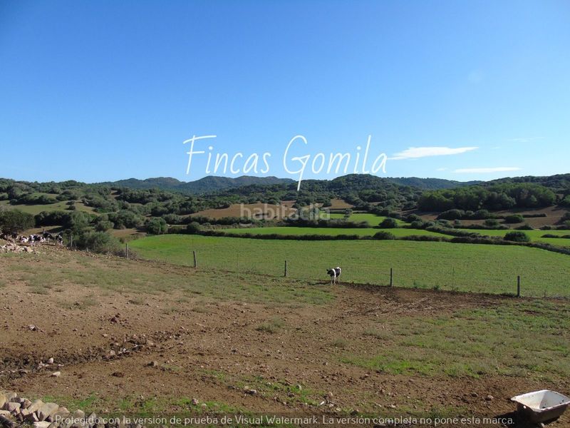 Foto 620895a3-8292-4bab-bd20-e06eb120e90d. Casa a Alaior poble Alaior